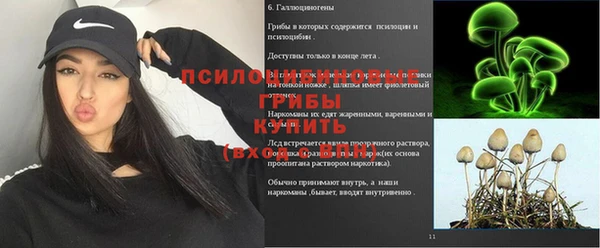 спайс Богородицк