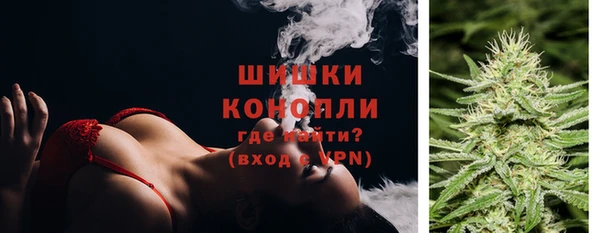 СК Богородск