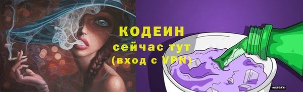 СК Богородск