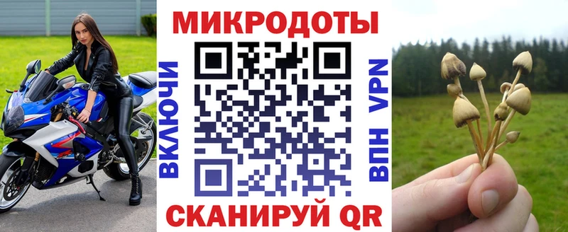 купить  сайты  Коряжма  Галлюциногенные грибы мухоморы 